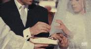 Les Parapluies De Cherbourg Wedding GIF by TIFF