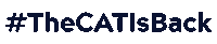 nflbayferries cat ocean canada boat Sticker