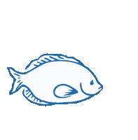 Water Swimming Sticker by Marine Stewardship Council (MSC)