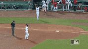 spike GIF by MLB