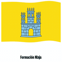 Flag Spain GIF by Formación Ninja