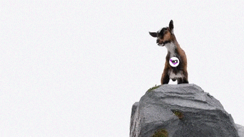 To The Moon Crypto GIF by Web3 Newswire