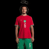 Fifa World Cup Morocco GIF by Respective