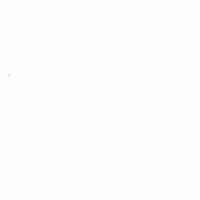 World Cup Football GIF by Panini America