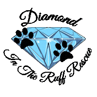 Ditrr Sticker by Diamond In The Ruff Rescue