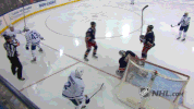 toronto maple leafs GIF by NHL