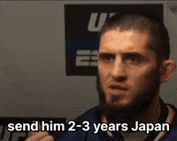 Japan Turning GIF