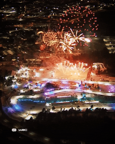 Rallying Rally Sweden GIF by FIA World Rally Championship