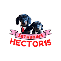 Hot Dogs Sticker by SethBows