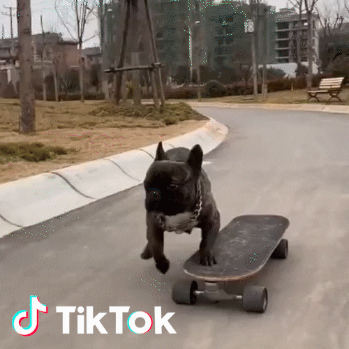 Swag Skateboard GIF by TikTok Italia