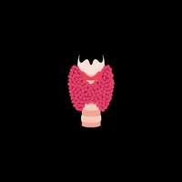 thyforlife thyroid thyroidcancer thyforlife hypothyroid GIF