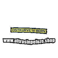 Bern Bscyb Sticker by UltrasInPeluze
