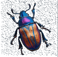 Omz10Anos Sticker by OMZ