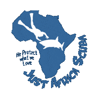 Travel Water Sticker by Just Africa Scuba