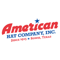 american horse Sticker by Katie