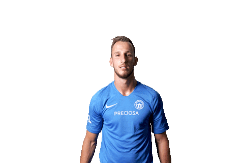 Happy Goal Sticker by FORTUNA:LIGA