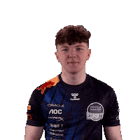 Red Bull Esports Sticker by Oracle Red Bull Racing