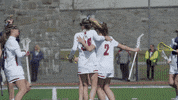 Celebration Goal GIF by Colgate Athletics