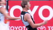 Todd Marshall Football GIF by Port Adelaide FC