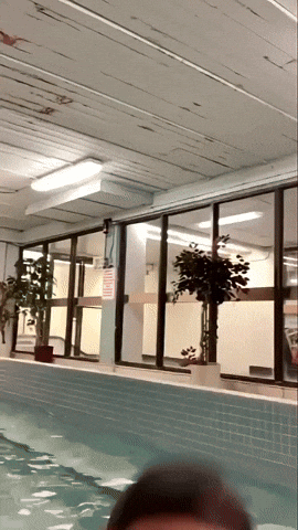 Funny Man Pool GIF by Matkai