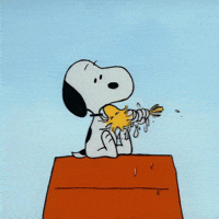 Water Peanuts GIF