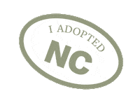 North Carolina Reaction Sticker by Crooked Media