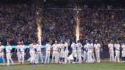 Blue Jays Baseball GIF by Toronto Blue Jays