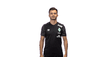 Esports Ps4 Sticker by SV Werder Bremen
