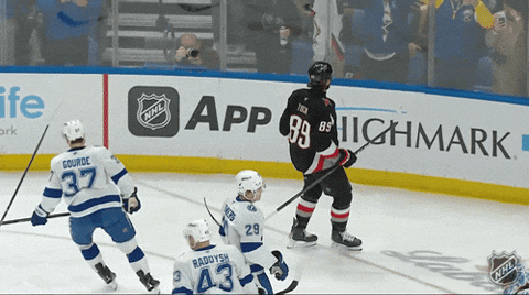 Happy National Hockey League GIF by NHL