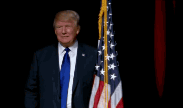 Political gif. Donald Trump grasps an American flag, then points at it and gives a thumbs up repeatedly before walking on by.