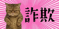 mgtne cat warning alert ねこ GIF