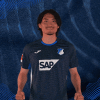 Sport Bundesliga GIF by TSG Hoffenheim
