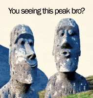 Look At This Right Here GIF