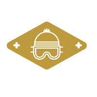 bnbswitzerland snow winter ski switzerland Sticker