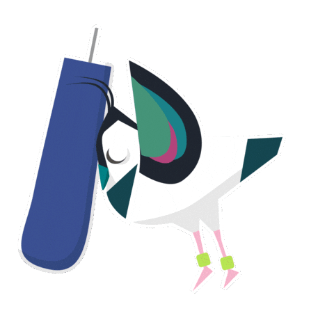 Bird Lapwing Sticker by RSPB