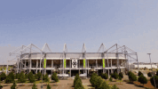 borussia park football GIF by Bundesliga