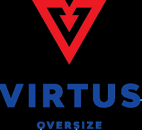 Virtuslogistics giphygifmaker transport logistics tsl GIF