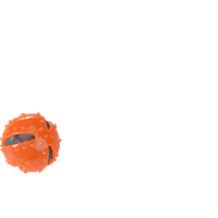 Dog Ball Sticker by Dogs Creek Official