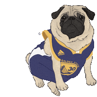 Basketball Chicken Sticker