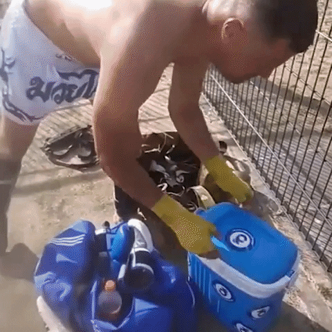 Summer Refreshing GIF by Feel So Good Water
