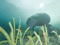 Hungry Breakfast GIF