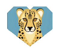 Big Cats Cheetah Sticker by Pantheracats