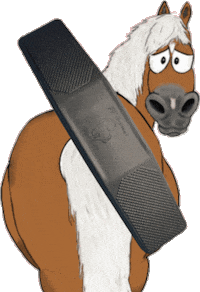 Pony Pferdepflege Sticker by Glamour by Reitsport SIBO