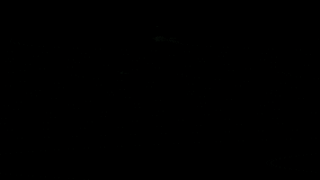 vin diesel GIF by The Last Witch Hunter