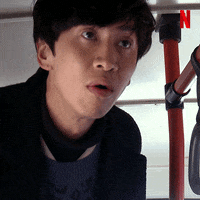 what is this netflix GIF by Busted!