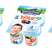 Yogurt Realfruit Sticker by Stonyfield Organic