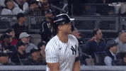 Yell New York Yankees GIF by MLB