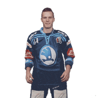 Heart Hockey Sticker by HC Škoda Plzeň