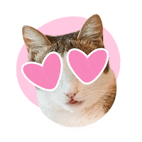 Tabby Cat Love Sticker