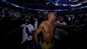 Edson Barboza Sport GIF by UFC